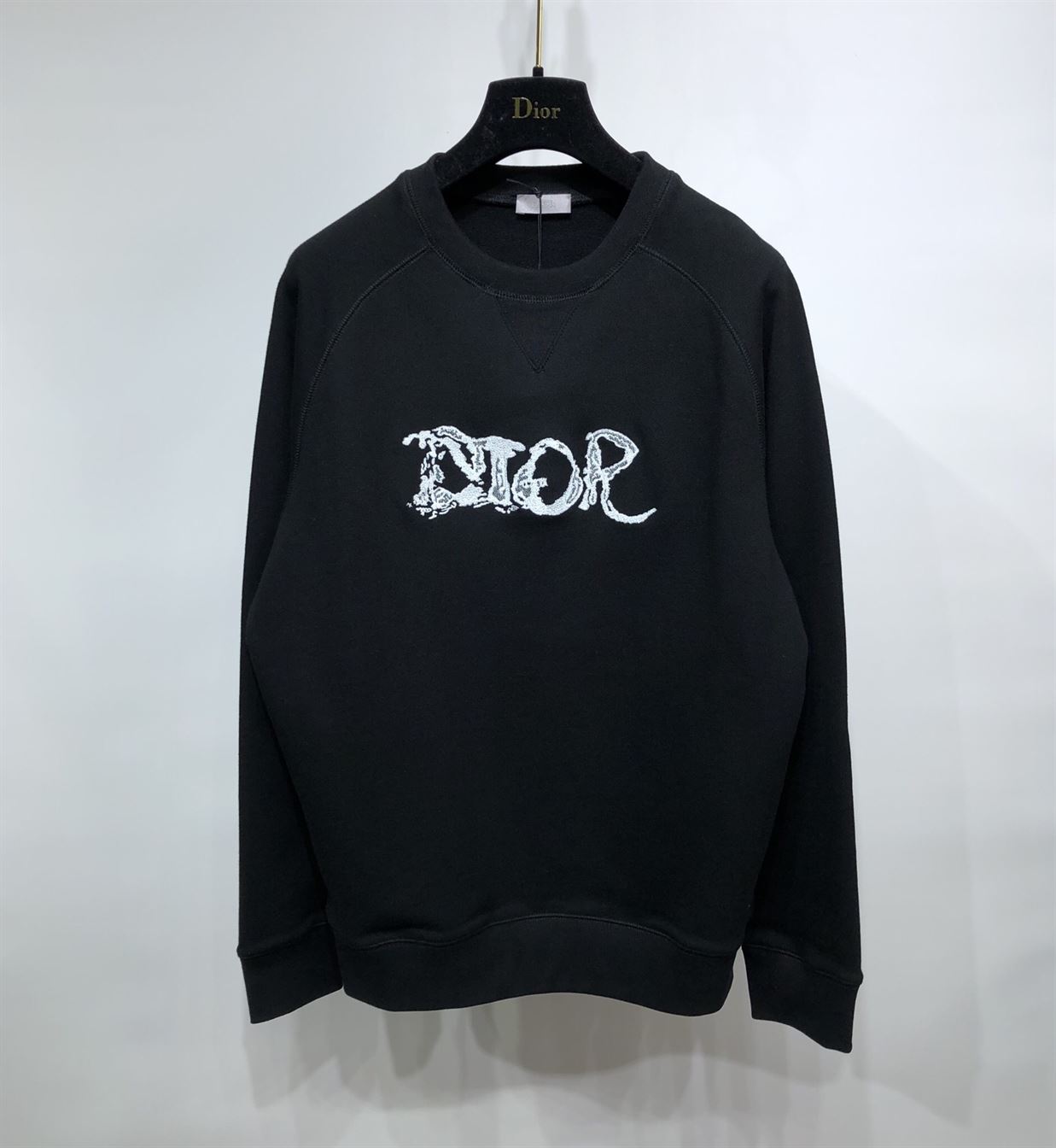 DIOR AND PETER DOIG HOODED SWEATSHIRT BLACK