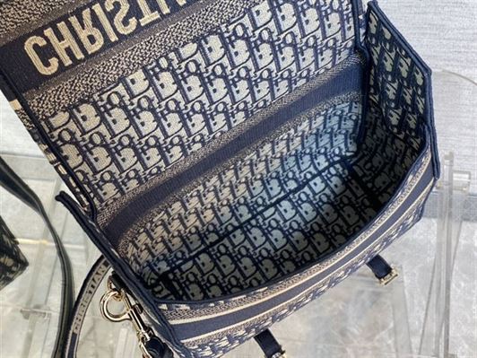 DIOR MEDIUM DIORCAMP BAG BLUE