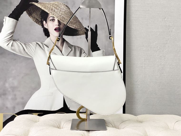 DIOR SADDLE BAG WITH STRAP