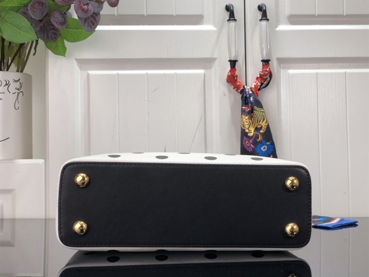 LOUIS VUITTON CAPUCINES BB White & Black