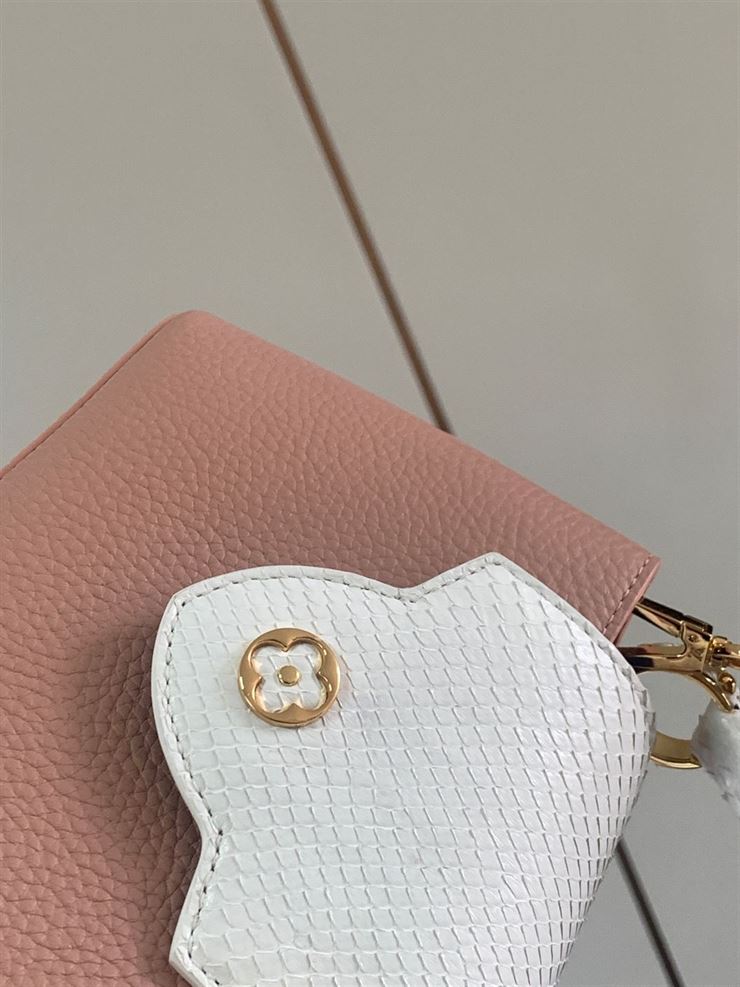 LOUIS VUITTON CAPUCINES MINI Pink