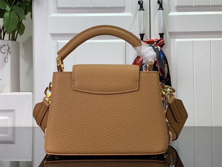 LOUIS VUITTON CAPUCINES MINI BROWN