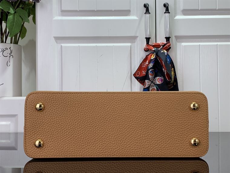 LOUIS VUITTON CAPUCINES MM Brown