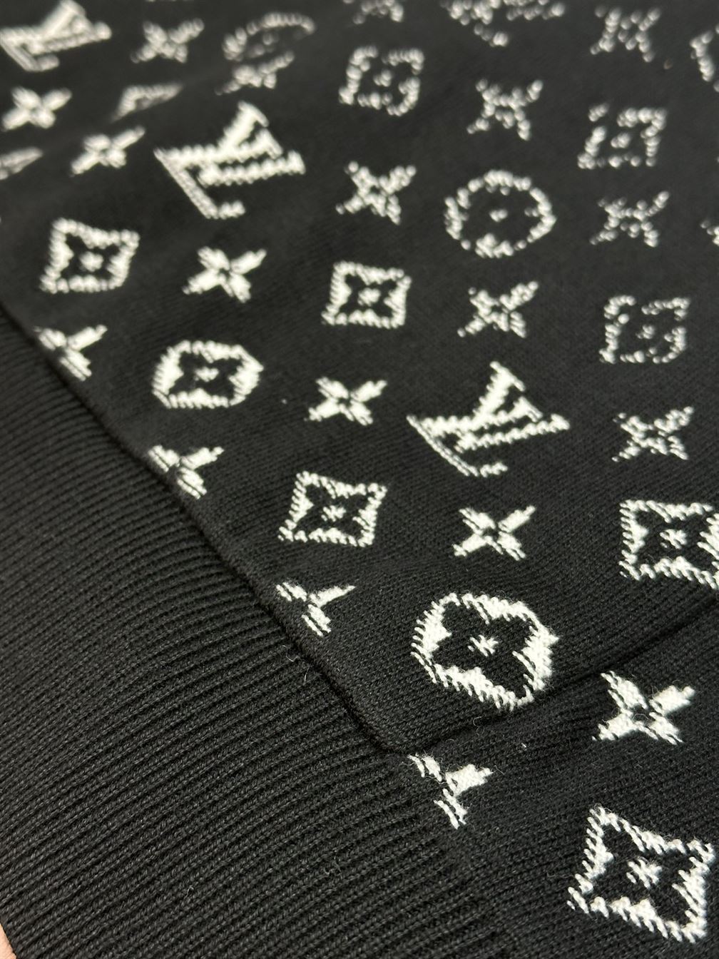 LOUIS VUITTON GRADIENT COTTON HOODIE - LH070