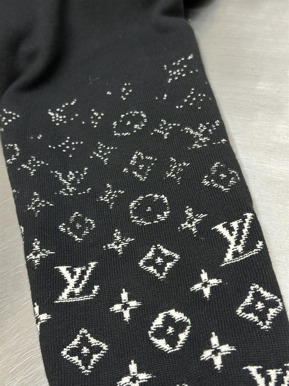 LOUIS VUITTON GRADIENT COTTON HOODIE - LH070