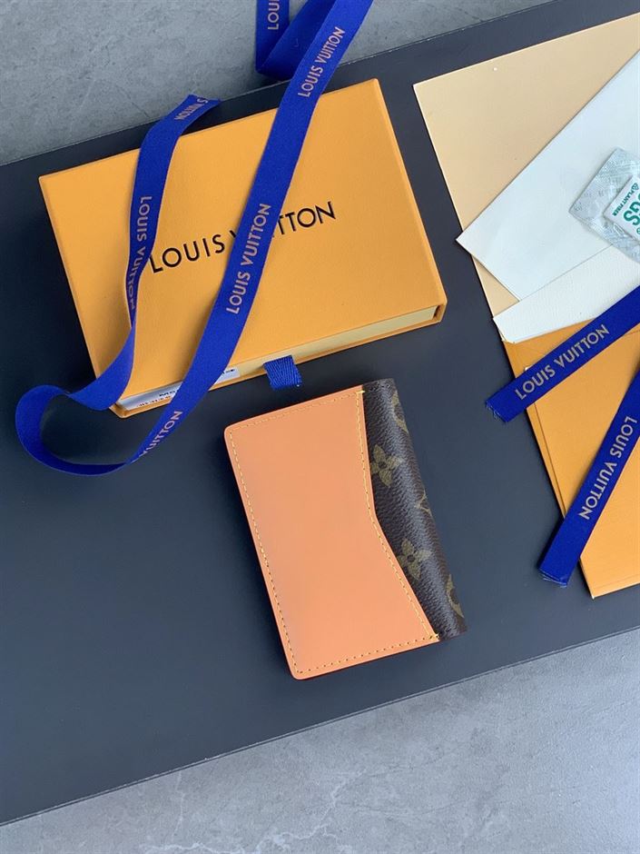 LOUIS VUITTON POCKET BROWN