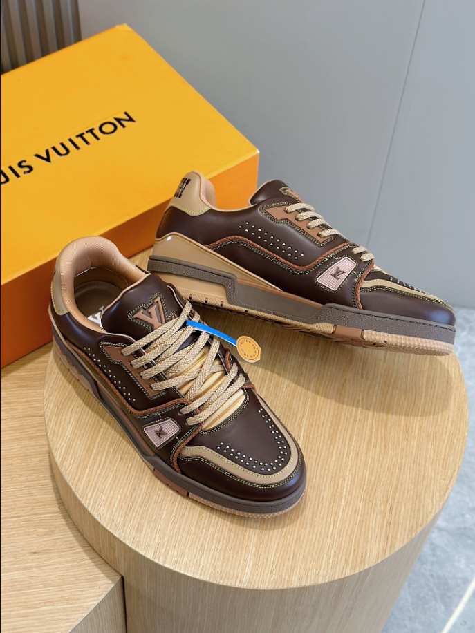 Louis Vuitton LV Trainer Marron Brown Sneaker