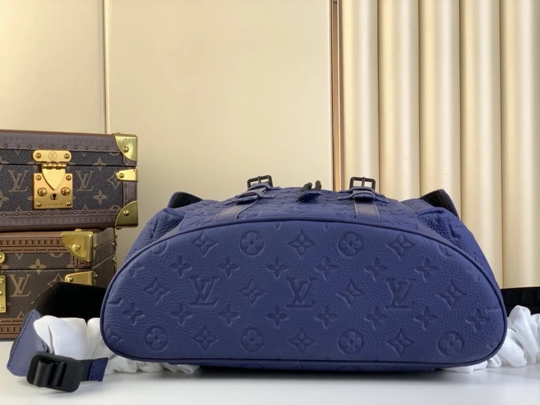 Louis Vuitton Bags