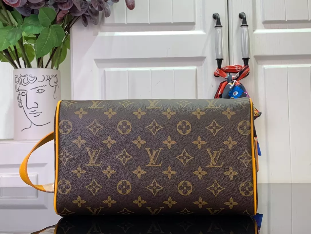 Louis Vuitton Bags