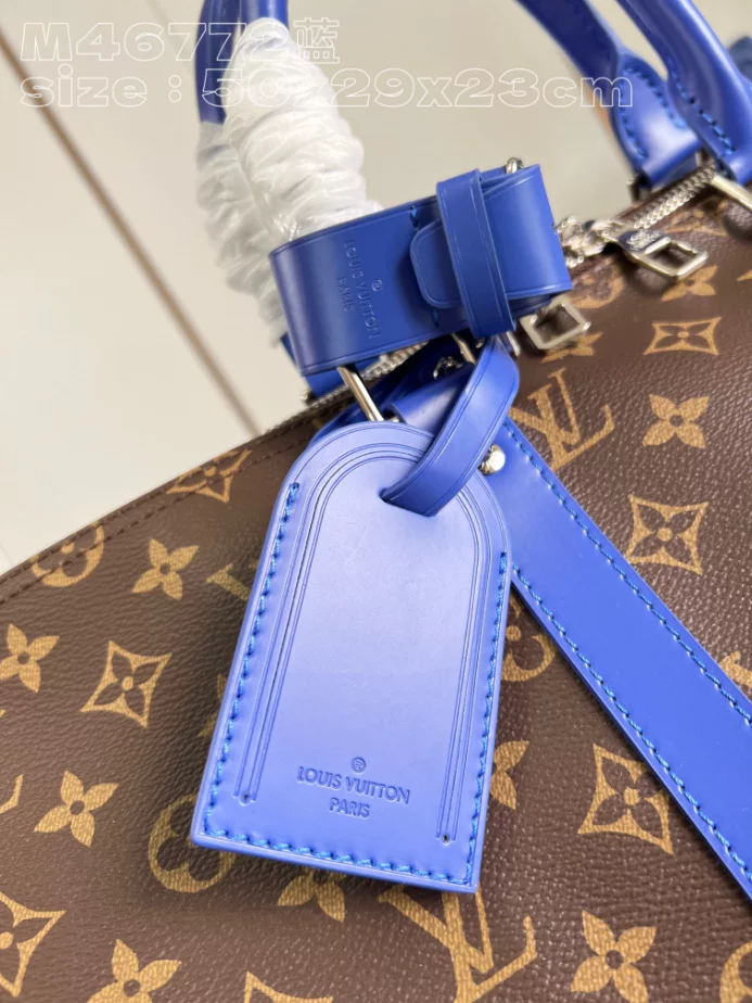 Louis Vuitton Bags