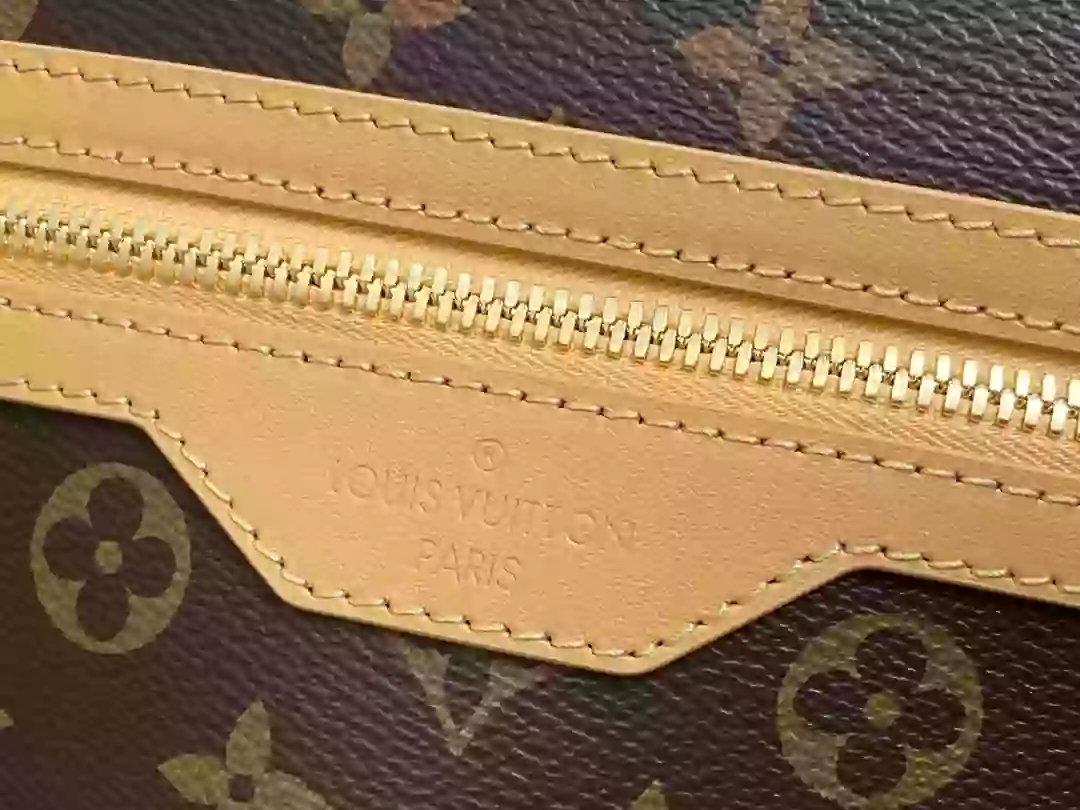 Louis Vuitton Bags