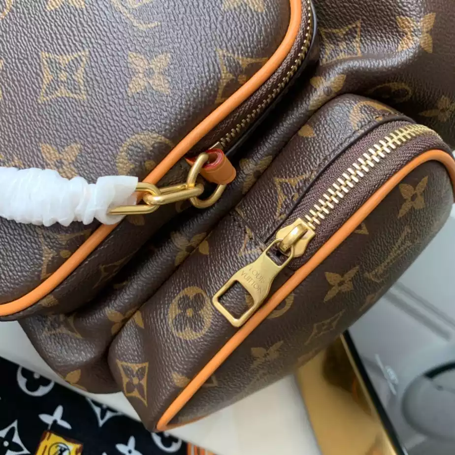 Louis Vuitton Bags