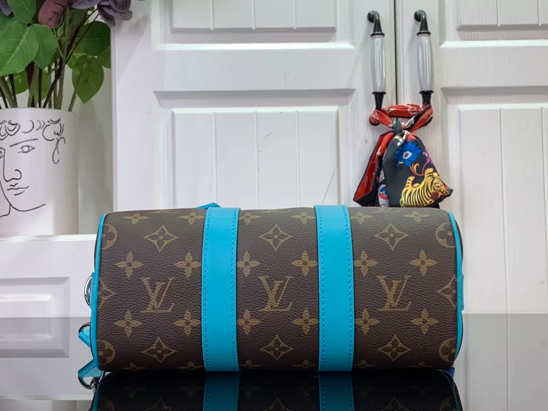 Louis Vuitton Bags