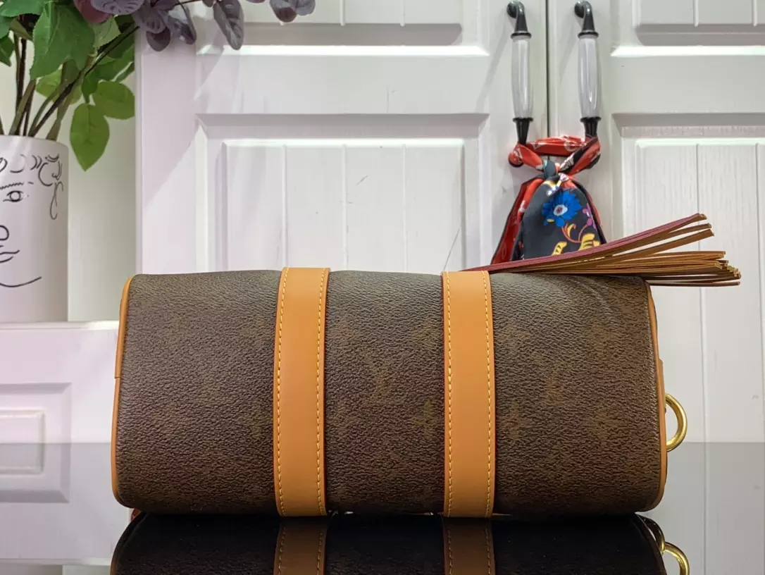 Louis Vuitton Bags