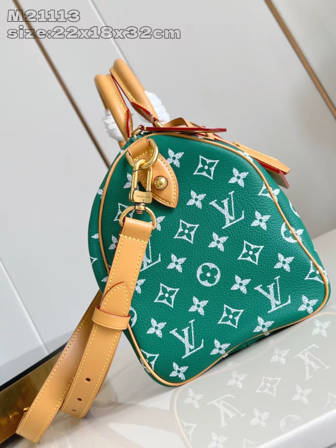 Louis Vuitton Bags