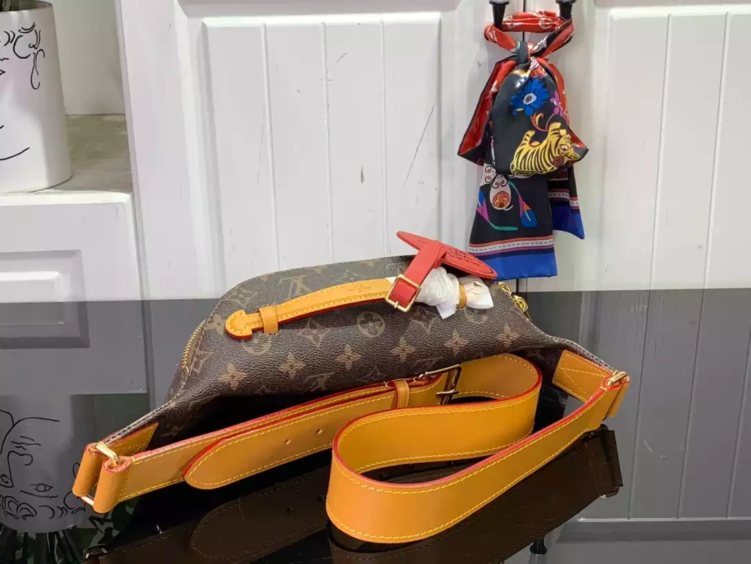 Louis Vuitton Bags