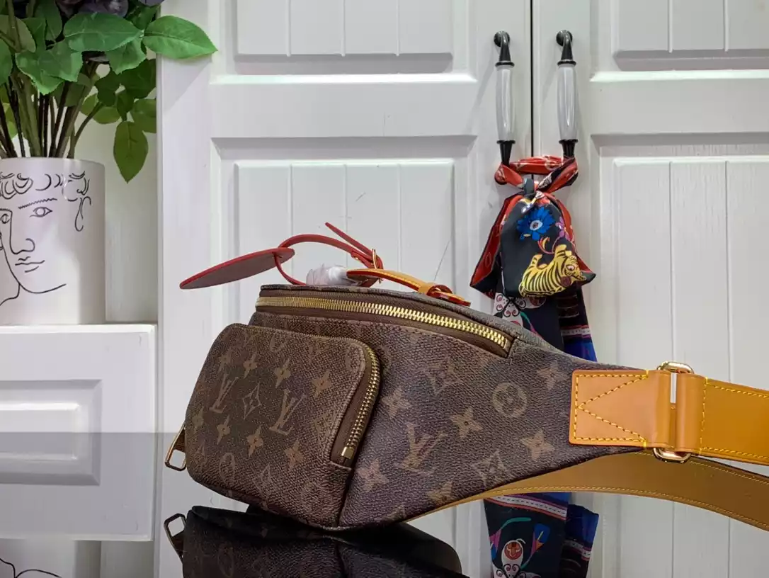 Louis Vuitton Bags