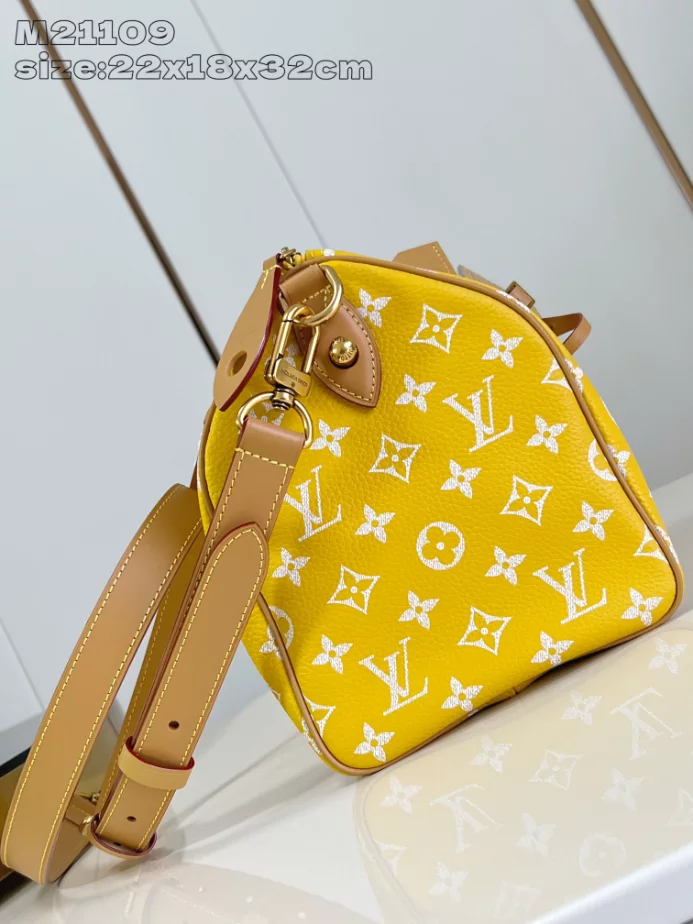 Louis Vuitton Bags