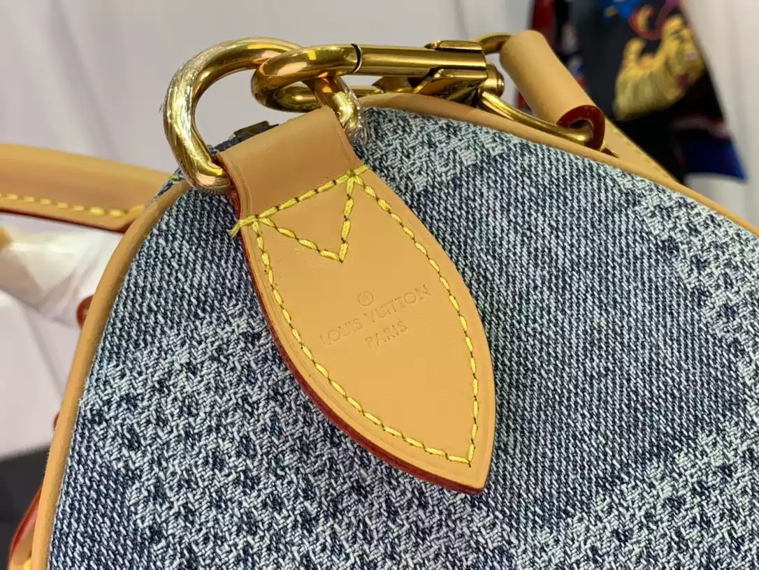 Louis Vuitton Bags